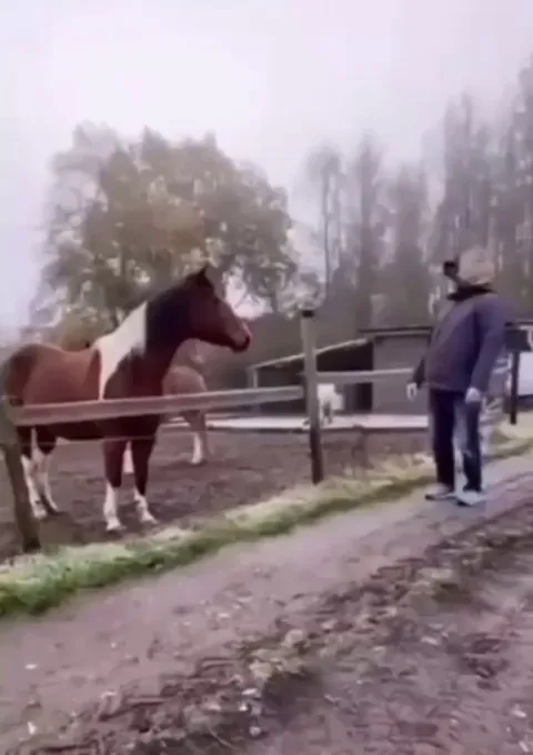 His friends never gonna believe in him when he tell them what he saw today