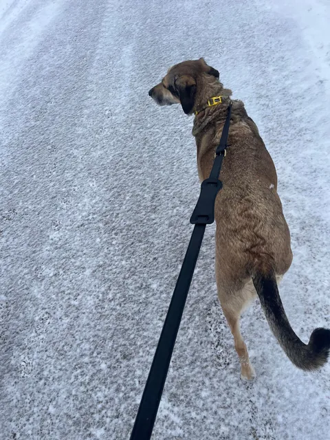 It ain’t dumb if it works…. Right?