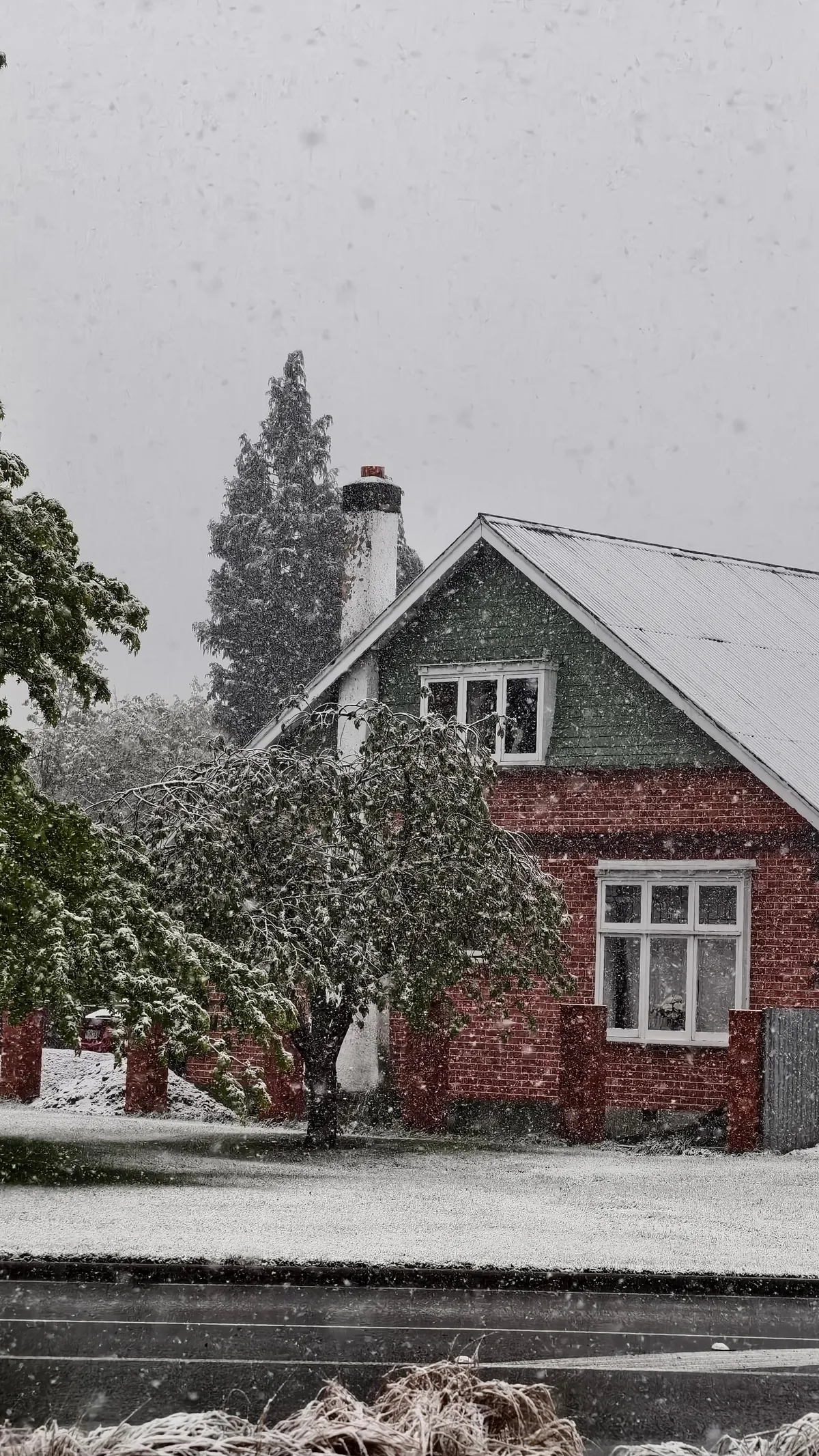 Very Recent Trip to New Zealand (Oct end) Jo