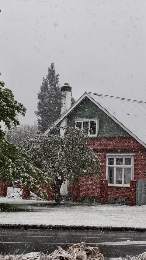 Very Recent Trip to New Zealand (Oct end) Jo