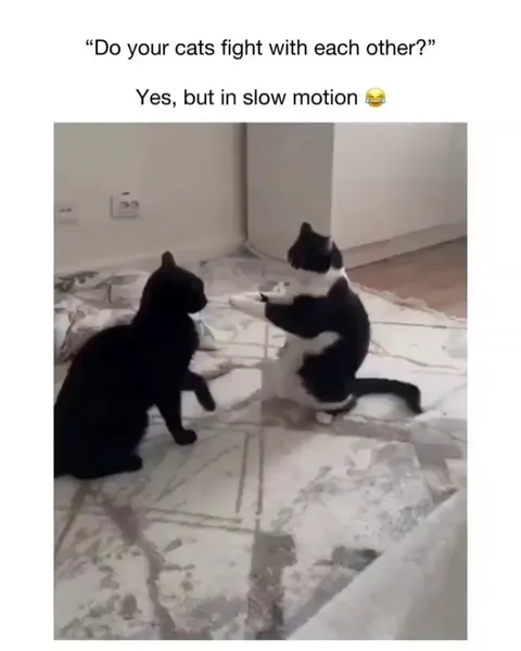 Slow motion