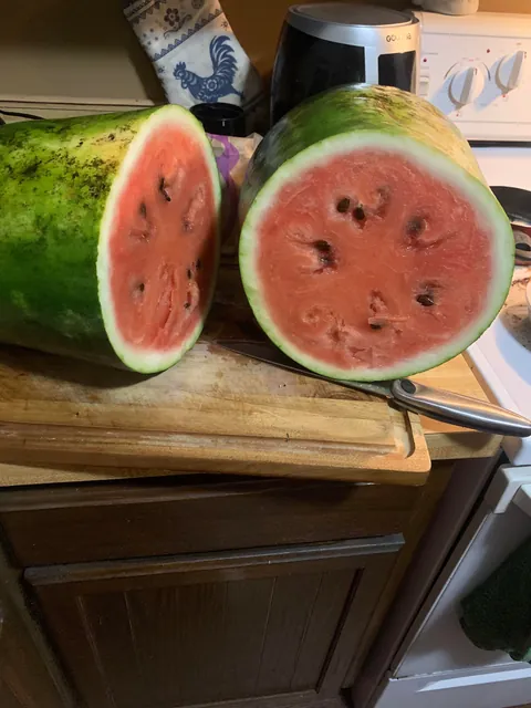 Behold the fruit of my labor 