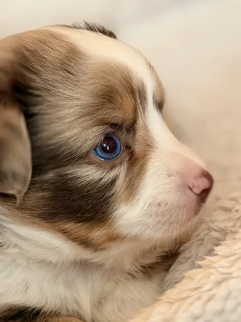 Those eyes😭