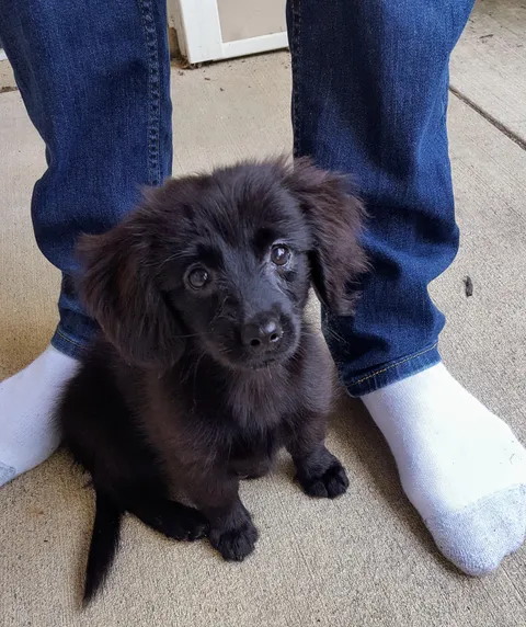 Say hello to the best decision I've ever made in my life.