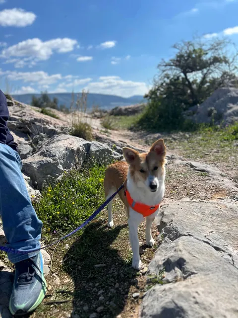 My tiny best friend
