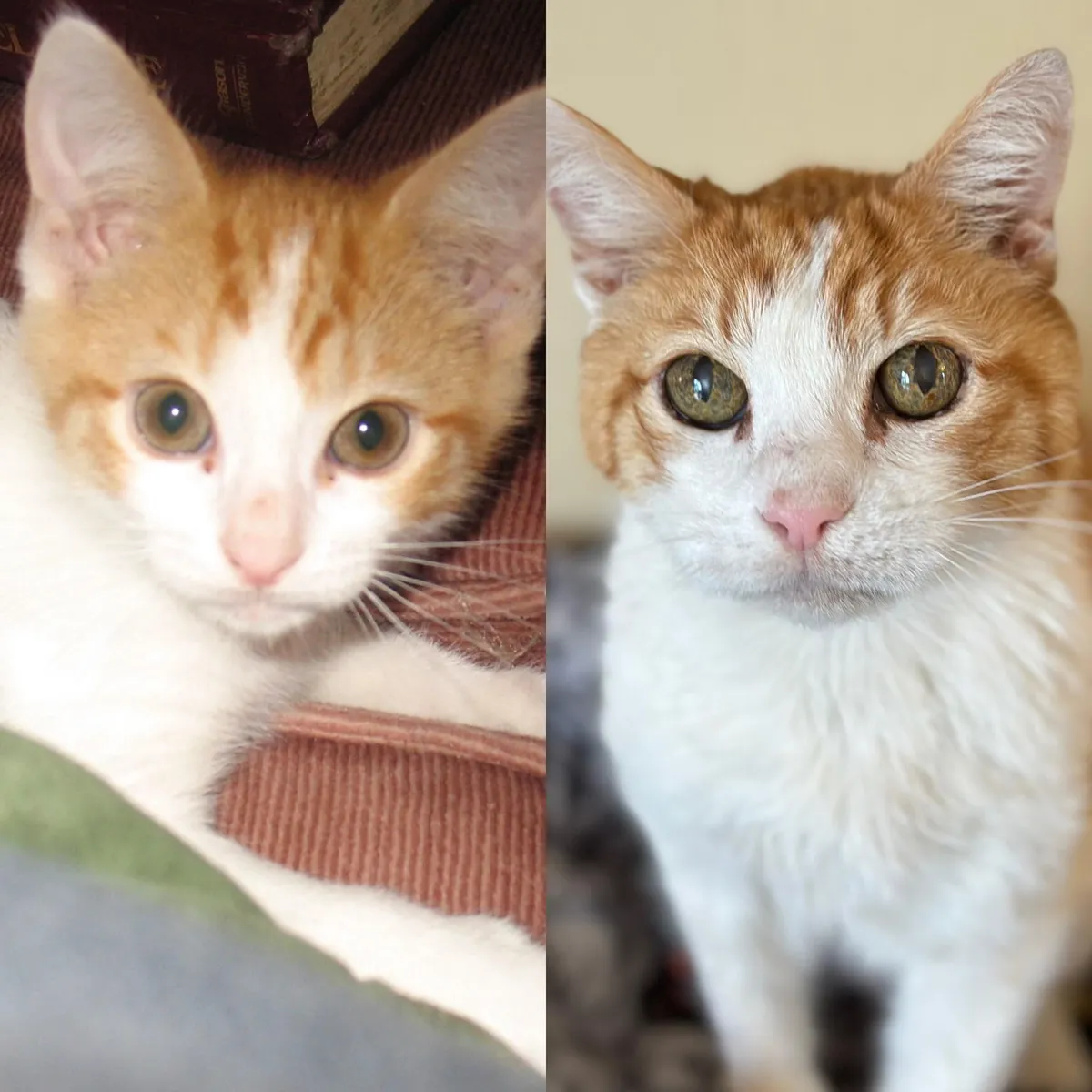 My son turns 18 today!