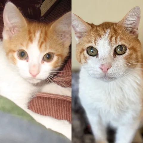 My son turns 18 today!