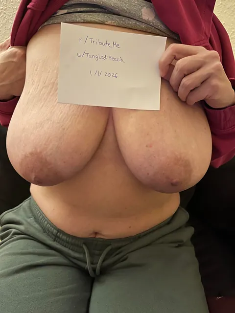 [verification]