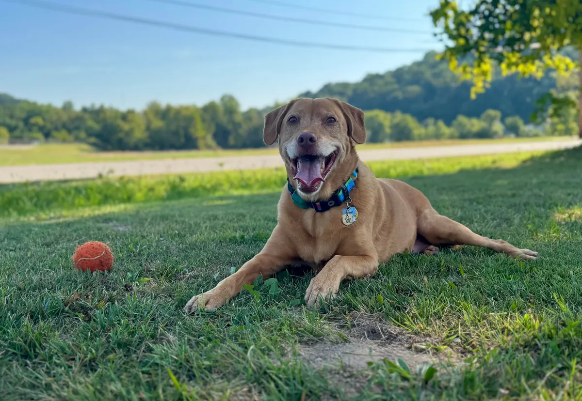 Day he came home… 9 years later