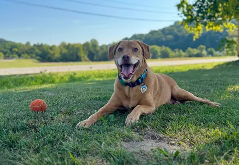 Day he came home… 9 years later