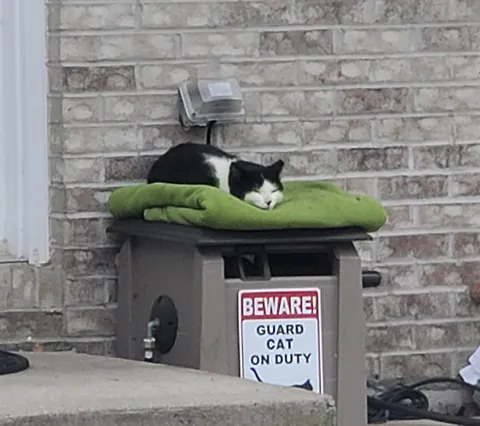 Caught sleeping on the job