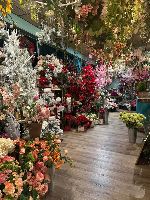 Our local florist is looking cozy