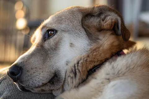 In her favourite chair