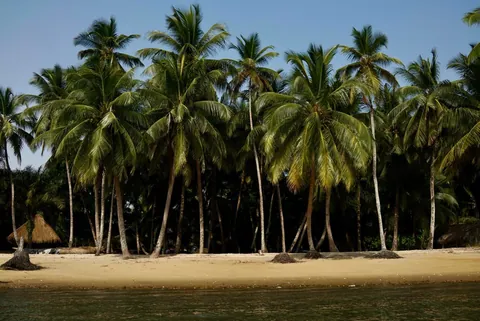Turtle Islands, off the coast of Sierra Leone