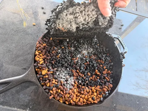 Freak accident caused by cat that wanted more food