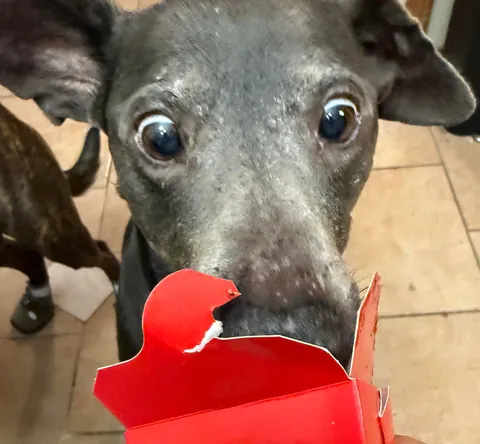 My momma says that I’m the babiest of all the baby boys.