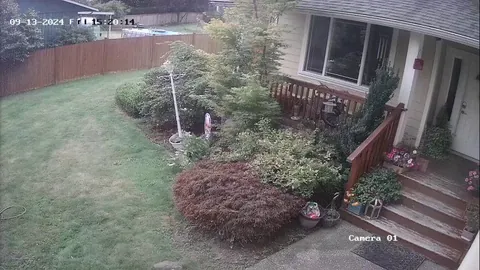 My neighbor trying to prank my husband 