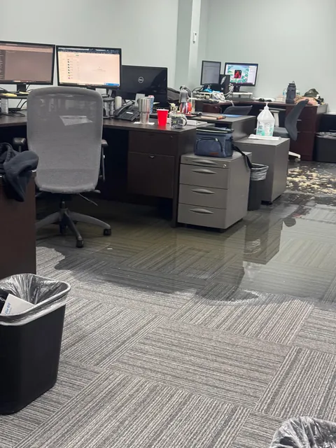 Turd pipe burst in the office