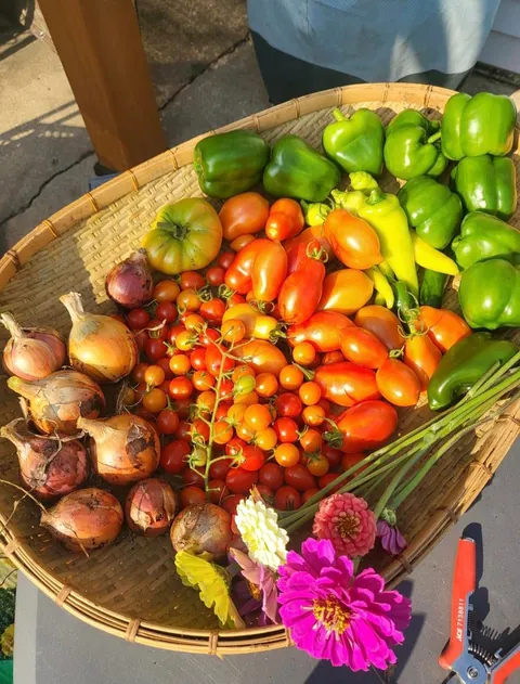 Transformed a small space behind my garage into my dream garden🌻2023 vs. 2024 