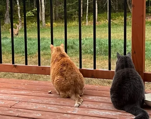 Celebrated his 19th birthday in September.