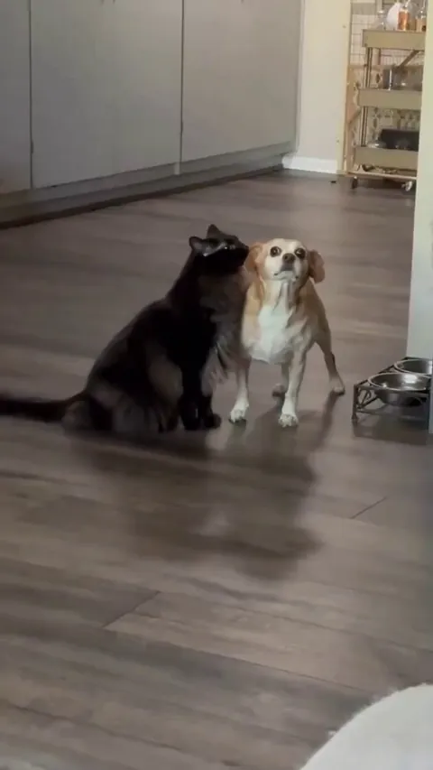 Must be the act of exorcism