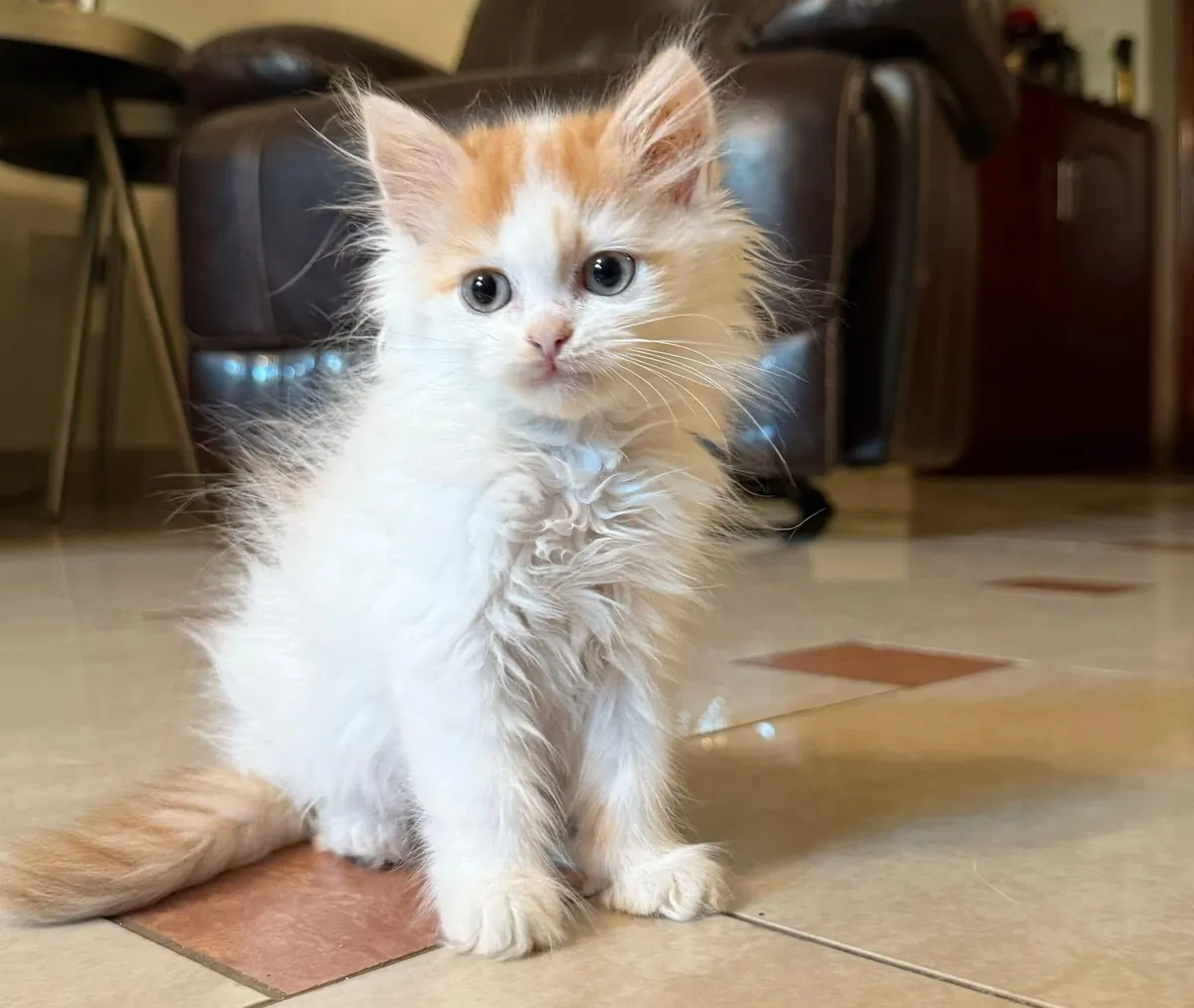 So I got this little guy and I kind of want to call him (Snow) but I need something better.