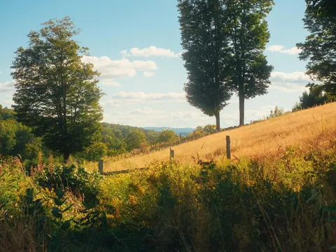 Nothing like a Vermont summer 🍎🛶⛰️