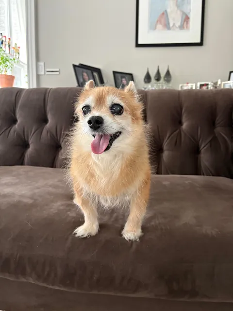 Puff Pastry wishing everyone a beautiful weekend