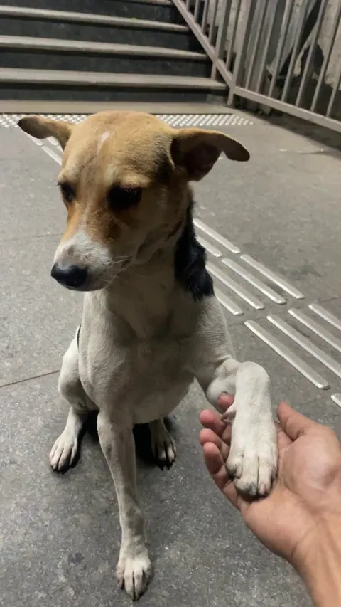 Please shake the hand of this simple man