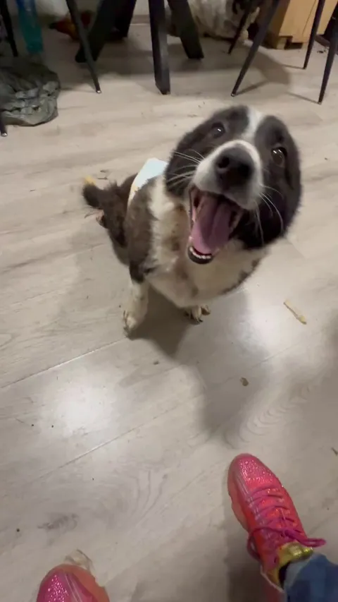 My lovely Pingu Ball Love him to bits