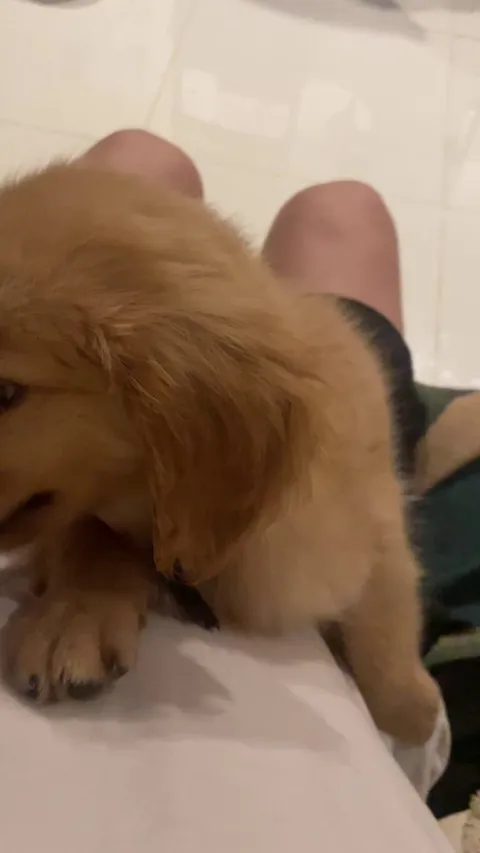 Day 1: scared, tear-stained, and perfect