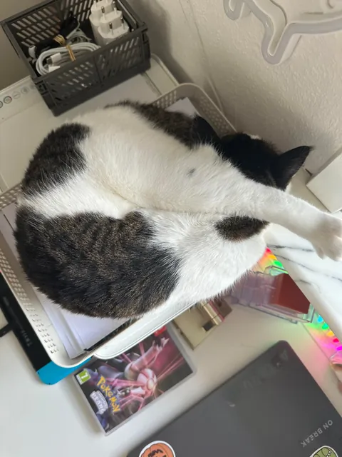 There is no way this is comfy