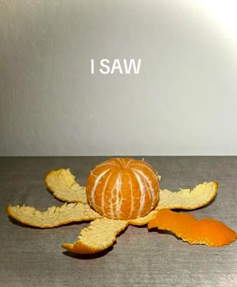 I came, I saw, I conqured