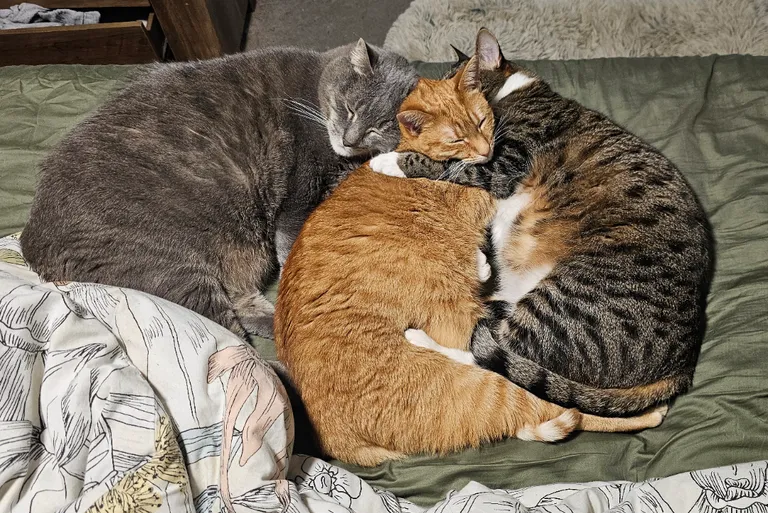 Guys. This is how I found them. I'm not crying. 🥹