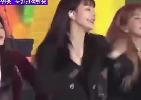 North Koreans reaction to K-POP.