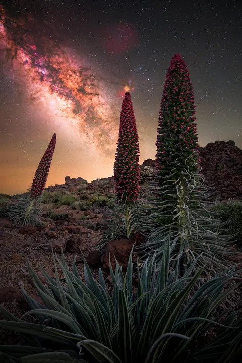 I used my astromodified DSLR to capture the Milky Way core over this trio of Tajinastes in Teide National Park, Tenerife