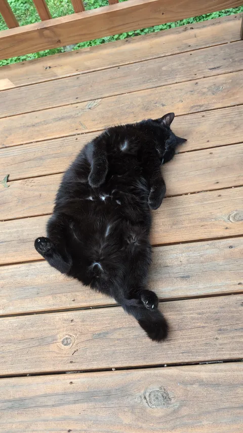 I think I burnt my rotisserie chicken