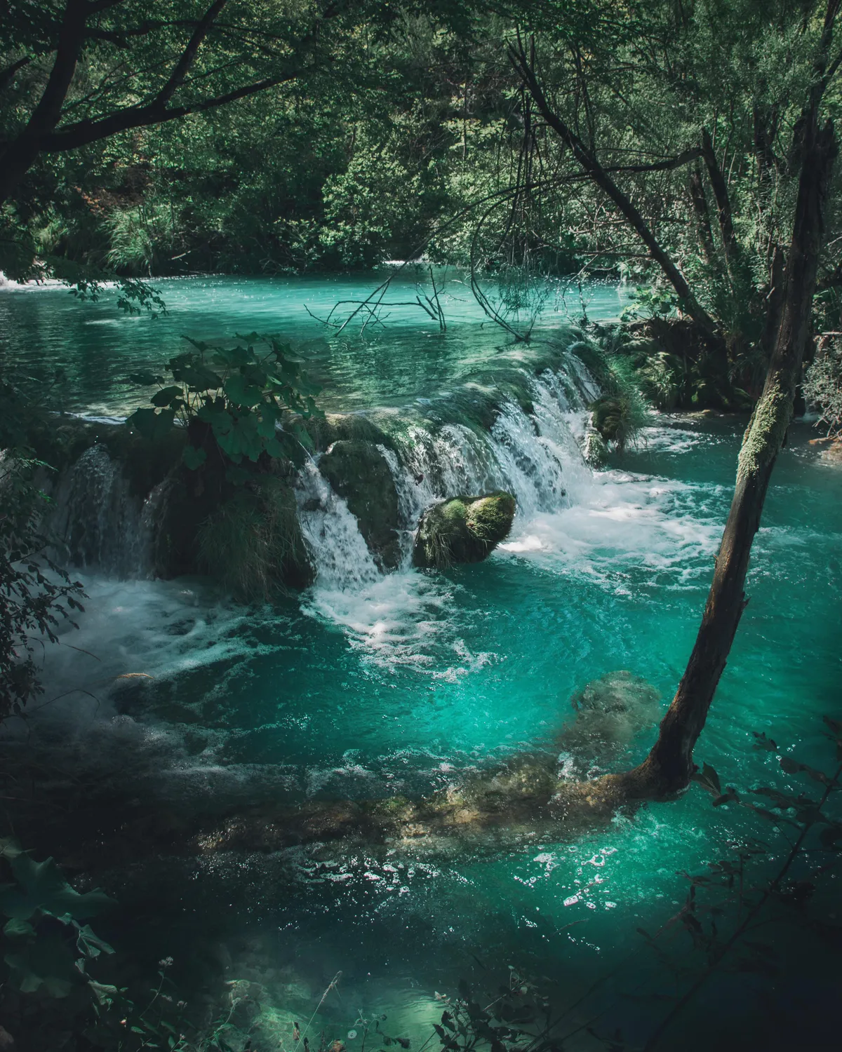 Plitvice Lakes National Park, Croatia [OC] [4000x5000]