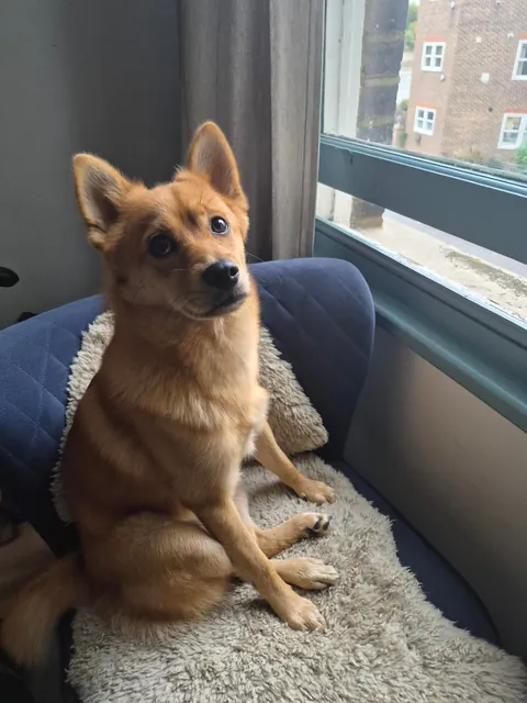 My bestest buddy Felix