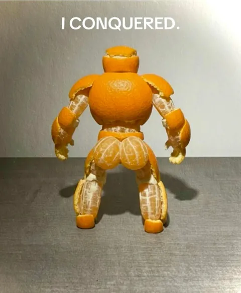 I came, I saw, I conqured