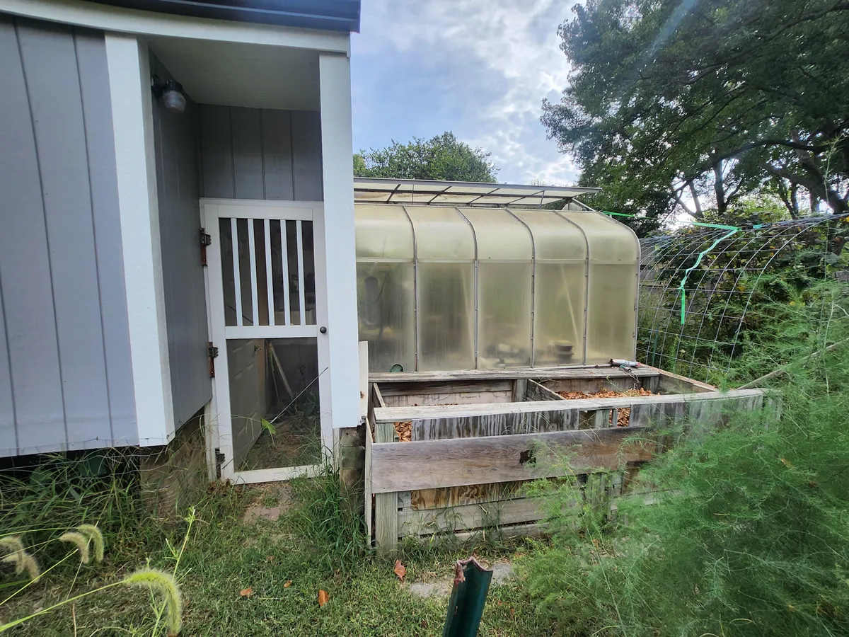 Bought a house with a greenhouse
