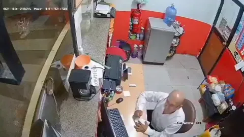 (Feb10,2026) Ecuador. Employee targeted after management refuses to pay extortion. Misses all 5 shots