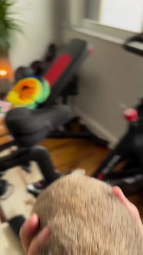 Poppy 🦫 say Hoyaa