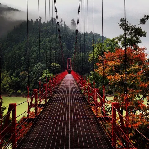 Pic I took of a suspension bridge in the mountains of Wakayama, Japan