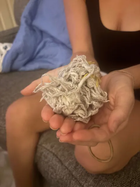 My 33 year old sister’s “blankie” that started as a sleeping bag, plus her back up blankie