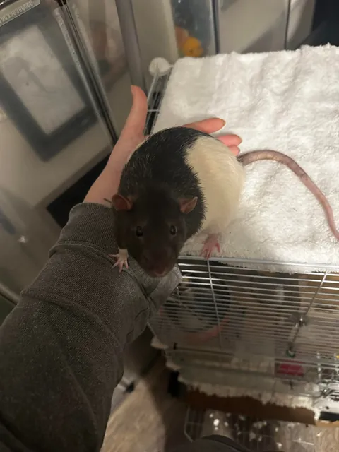 Our biggest and our littlest 🥹