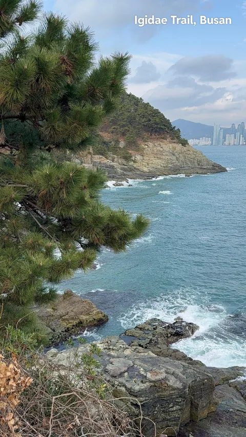 South Korea was amazing. It’s often overlooked compared to Japan.