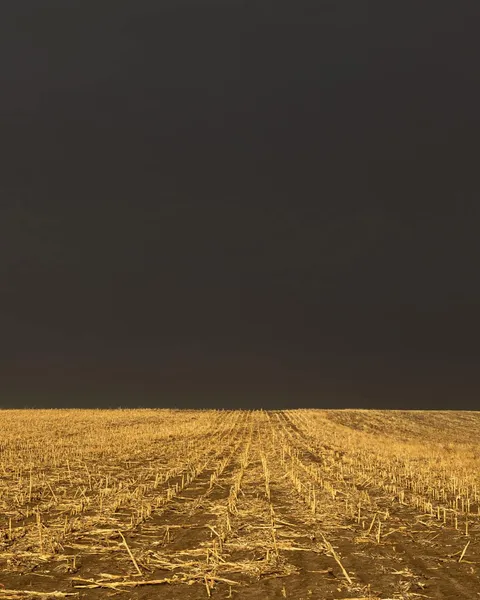 🔥Darkness prevailed with this severe thunderstorm in Kansas.