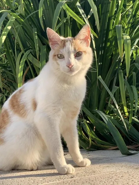 Welcome Marlo! 8 &amp; strong