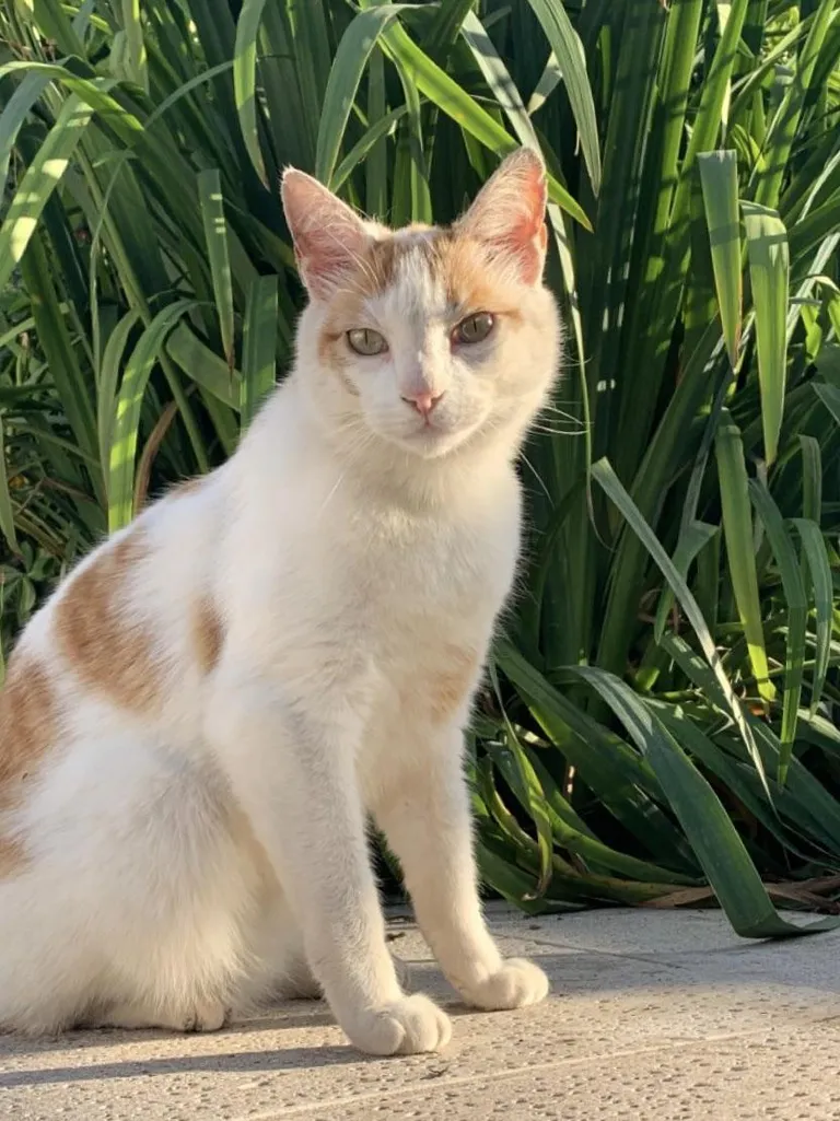 Welcome Marlo! 8 &amp; strong